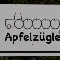 Zunftausflug Apfelzuegle